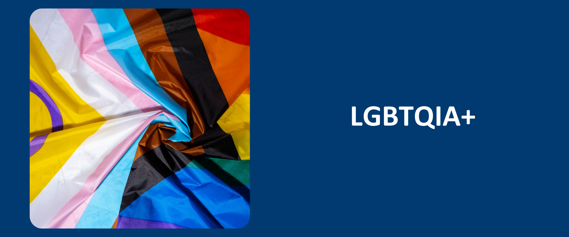 LGBTQIA+ written in white on a navy background alongside a cropped image of the Progress Flag